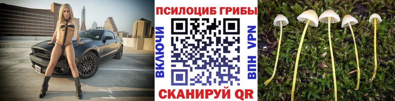 Галлюциногенные грибы Cubensis hydra зеркало Тюмень как найти
